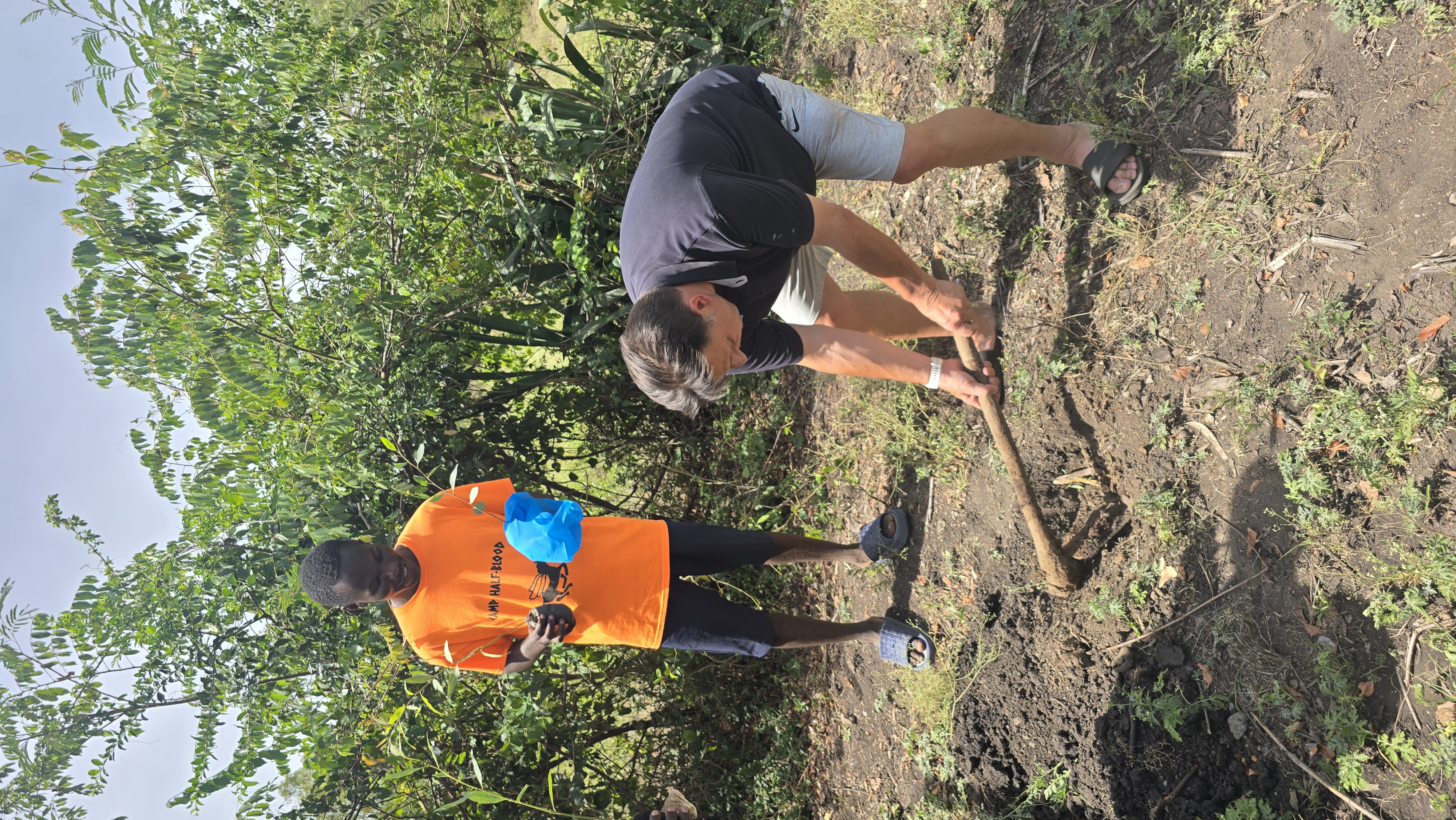 Planting a tree